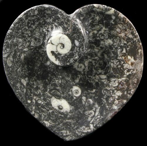 Heart Shaped Fossil Goniatite Dish #39364